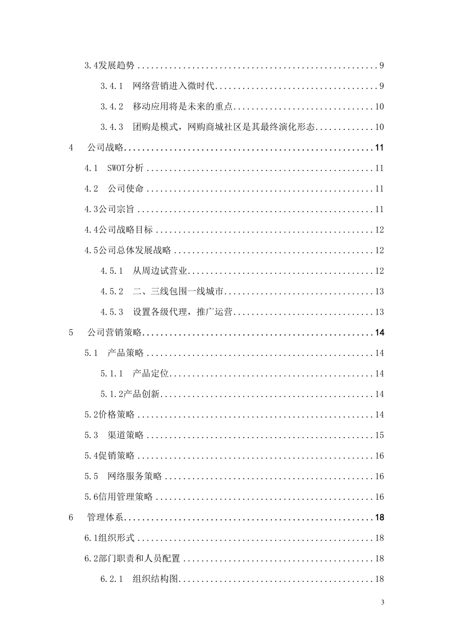 由你网可视团购项目计划书1.docx_第3页