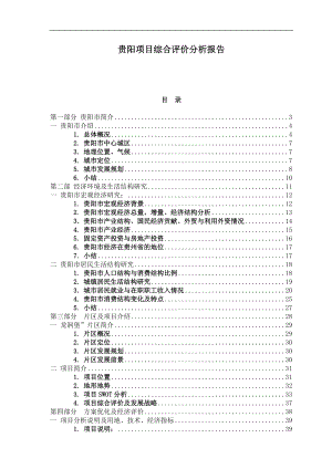 贵阳项目综合评价分析报告(1).docx