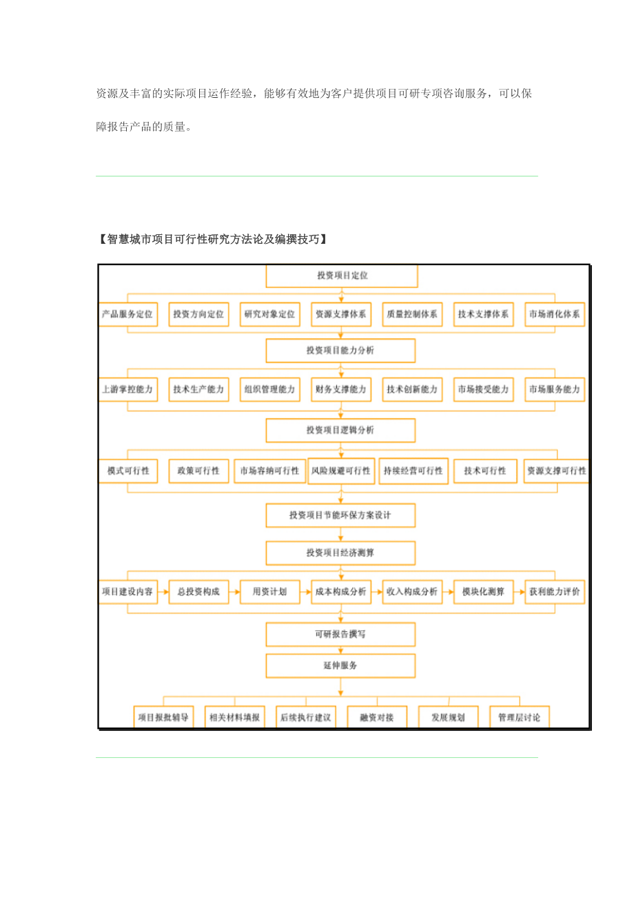 智慧城市项目可行性模板.docx_第2页