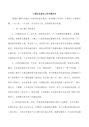 乡镇在务虚会上的问题发言.docx