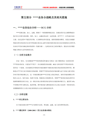 业务分战略及其相关措施(1).docx