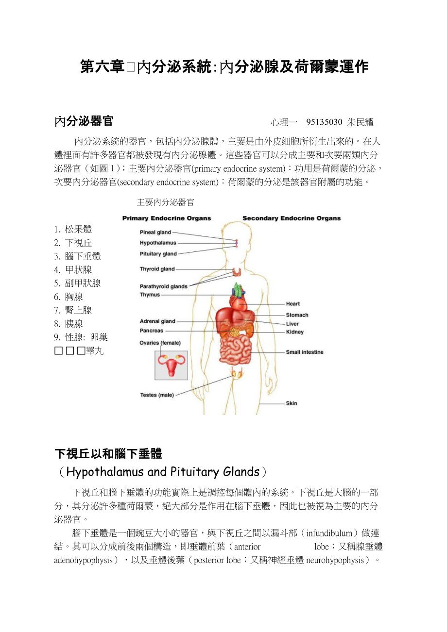 内分泌系统内分泌腺及荷尔蒙运作.docx_第1页