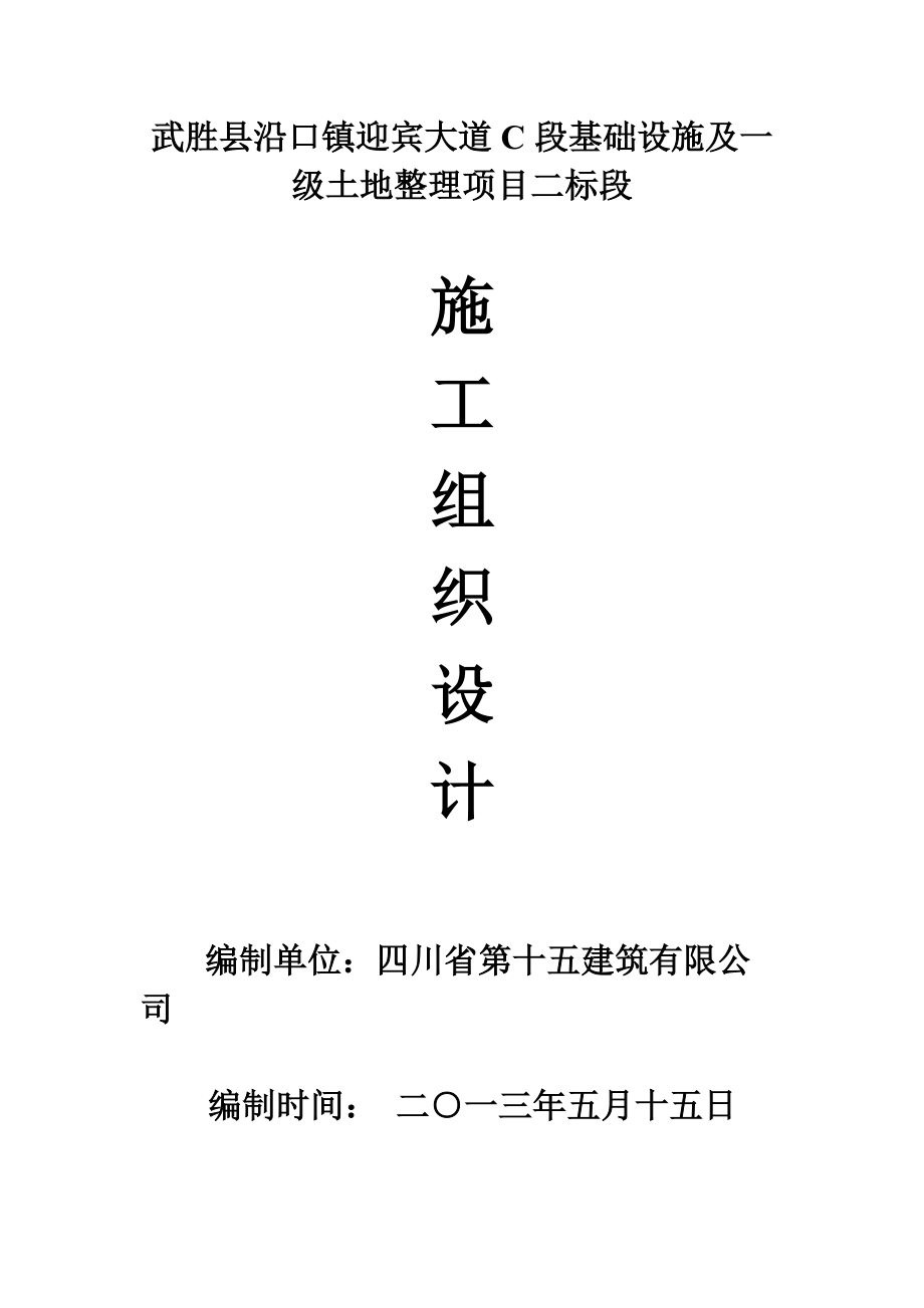 武胜县沿口镇迎宾大道C段基础设施及一级土地整理项目二.docx_第1页