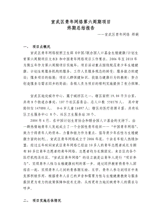 宣武区青年网络第六周期项目终期-报告doc-宣武区青年网.docx