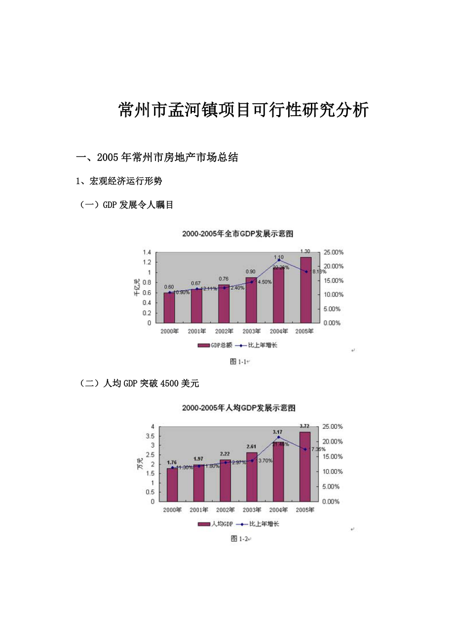 某市孟河镇项目可行性研究分析报告.docx_第2页