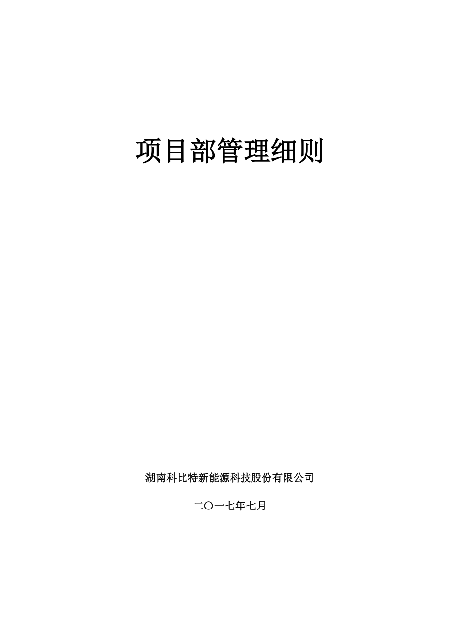 某科技股份有限公司项目部管理细则.docx_第1页