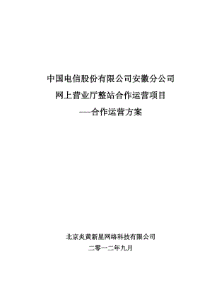 某公司网上营业厅整站合作运营项目合作运营方案(DOCX 79页).docx