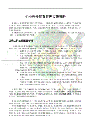 企业软件配置管理实施策略.docx