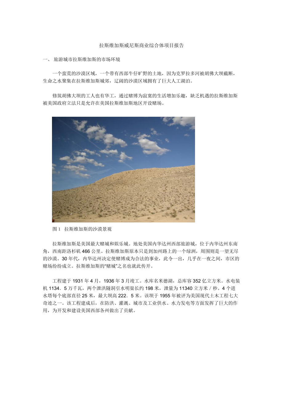 拉斯维加斯威尼斯商业综合体项目报告.docx_第1页