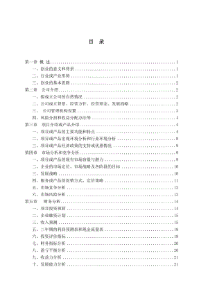 创业计划方案书.docx