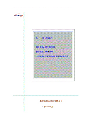 某冰箱有限公司调查报告.docx