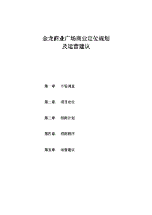 金龙商业定位规划及运营建议.docx