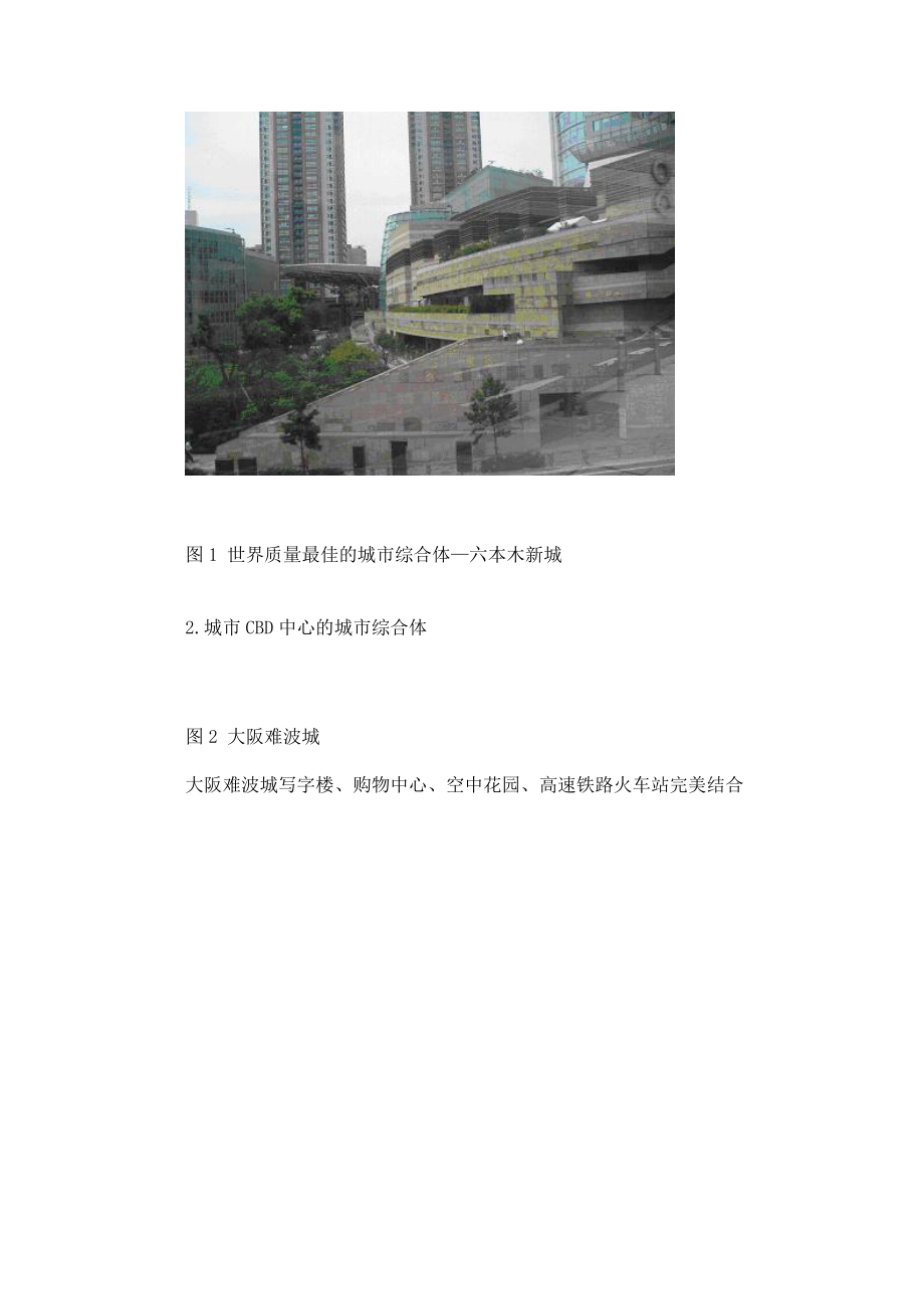 大型城市商业综合体的开发与运营规律研究(1).docx_第3页