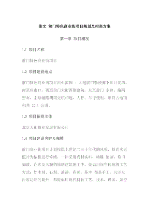 某商业街项目规划及招商方案.docx