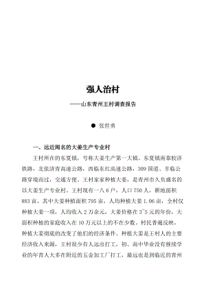 关于山东青州王村的调查报告.docx