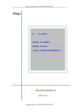 伊莱克斯调查报告.docx