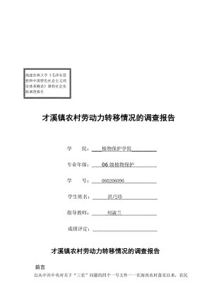 关于才溪镇农村劳动力转移情况的调查报告.docx