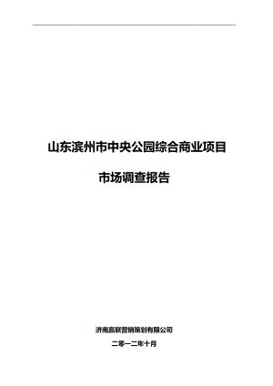 山东滨州商业物业市场调查报告XXXX.docx