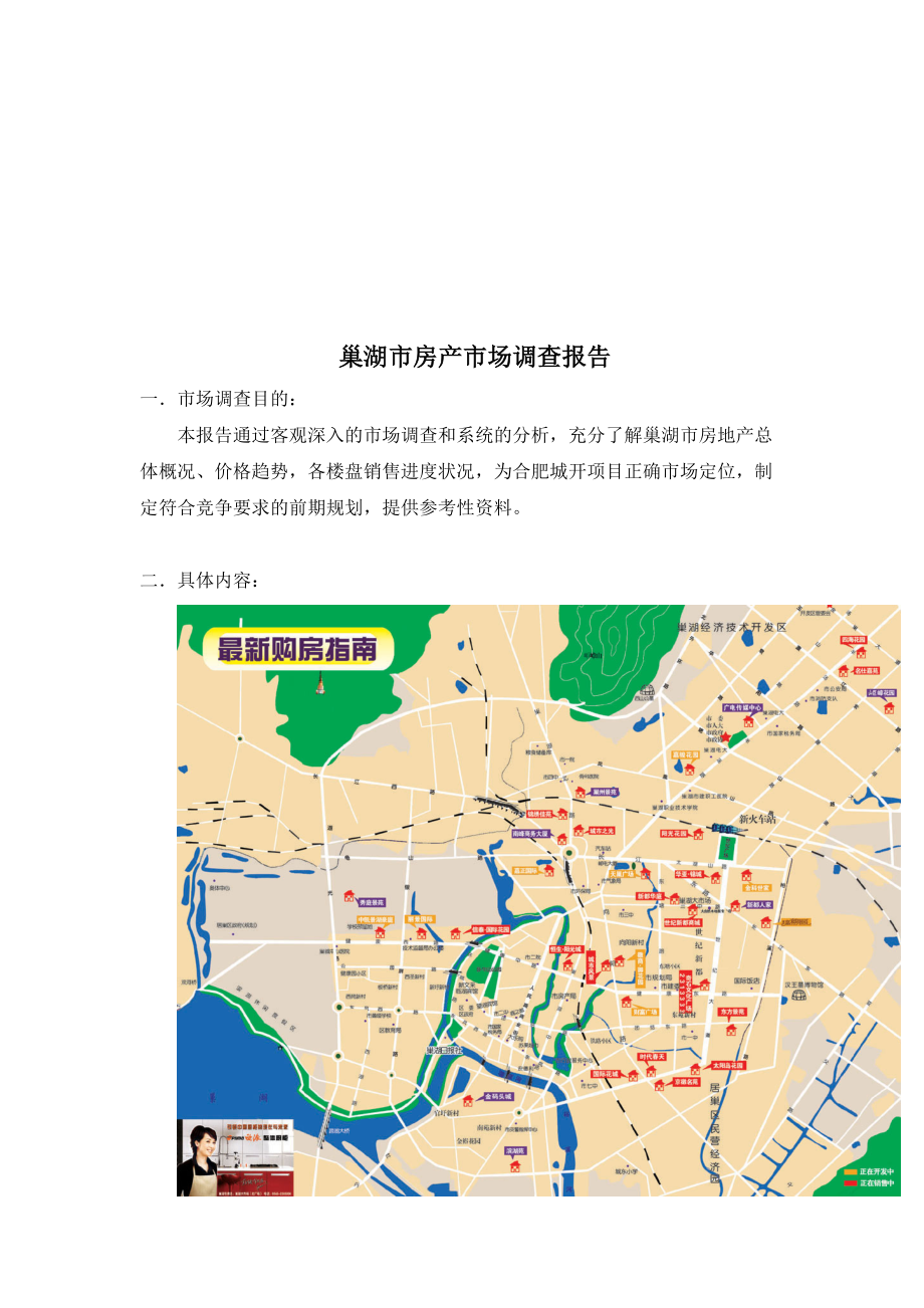 巢湖市房产市场调查报告.docx_第1页