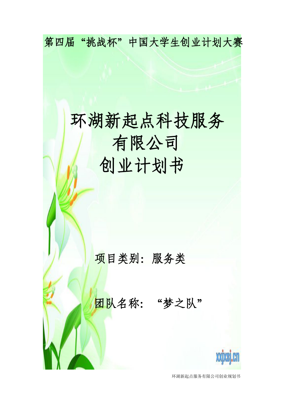 环湖新起点服务有限公司创业计划书.docx_第1页