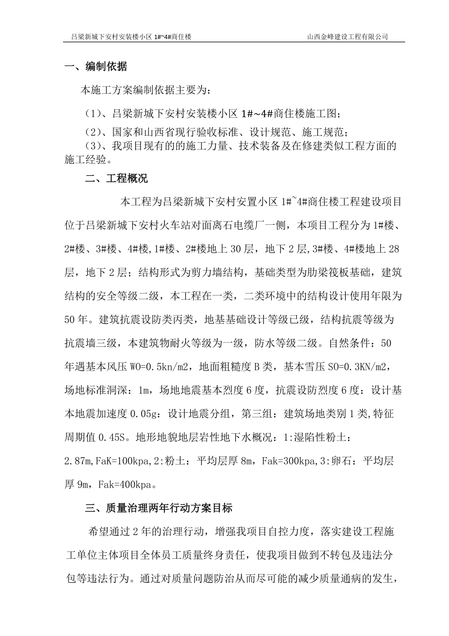 项目质量治理两年行动方案.docx_第1页