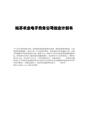 农业项目电子商务公司创业计划书.docx