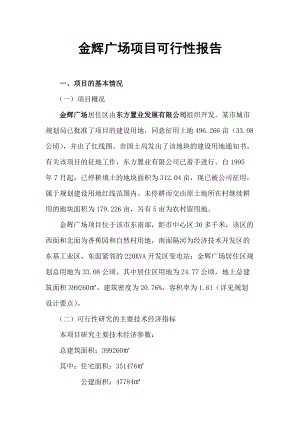 金辉广场项目可行性报告.docx