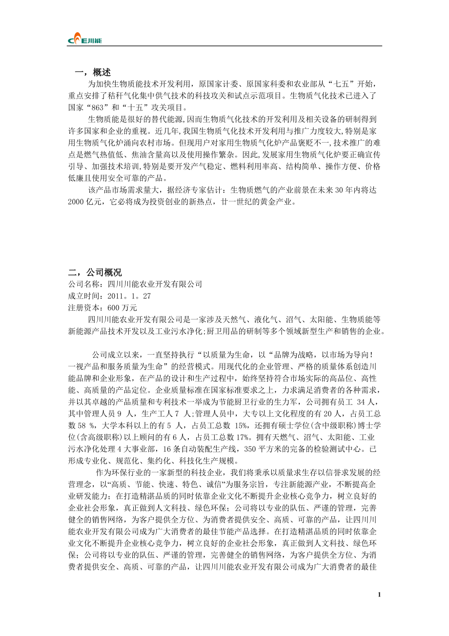 川能生物气化炉商业计划书.docx_第1页