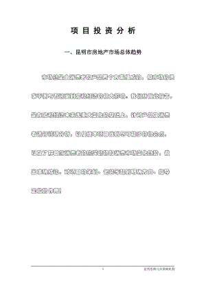 项目投资分析.docx