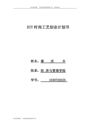 DIY时尚工艺创业计划.docx