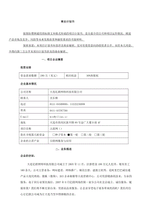 大连某网络科技有限公司商业计划书.docx