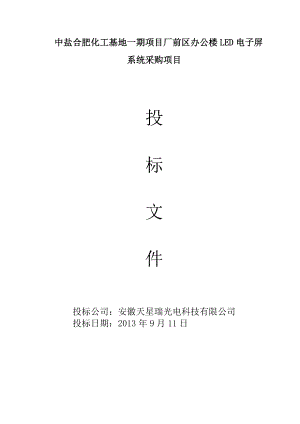 中盐投标文件.docx