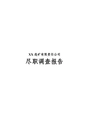 某选矿公司尽职调查报告.docx