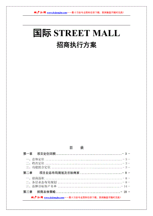 国际商业街招商执行方案范本.docx