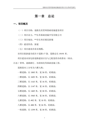 道路及其管网基础设施建设项目可研.docx