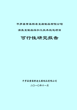 豆制品深加工技术改造项目可行性研究报告.docx