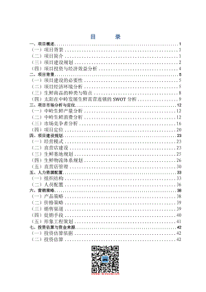 生鲜连锁项目商业计划书.docx