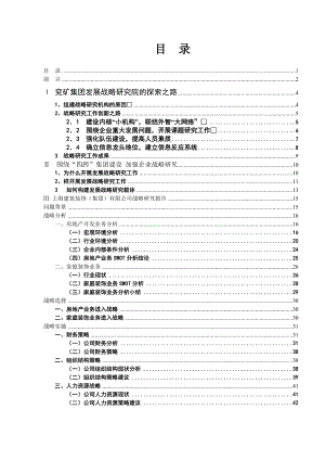 某集团组织设计报告.docx