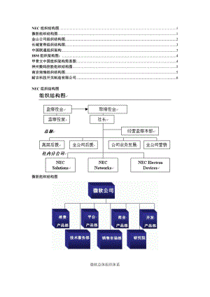 著名IT公司组织结构图.docx