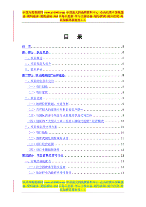 酒店式别墅商业计划书.docx