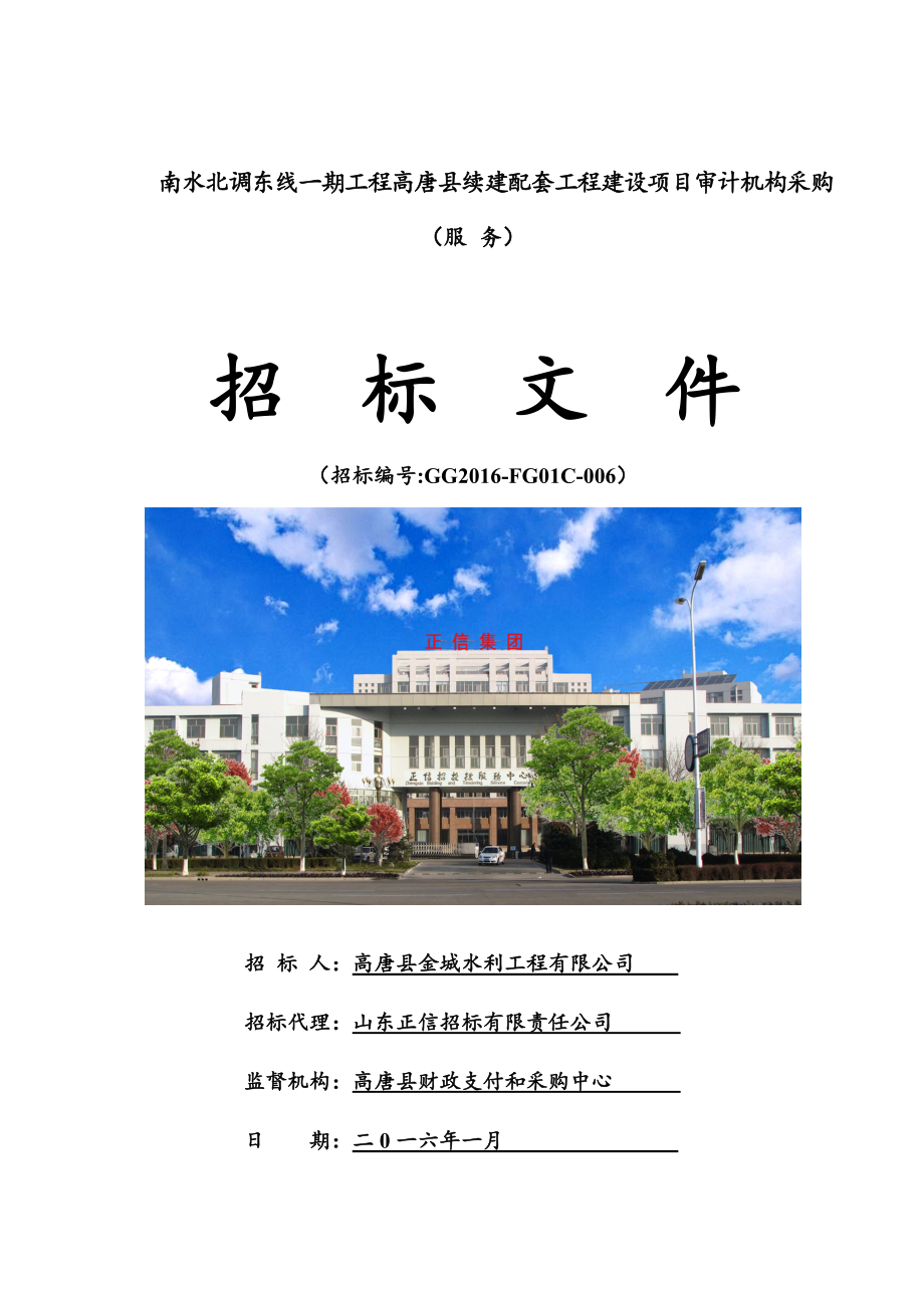 发售稿招标文件南水北调东线一期工程高唐县续建配套工程建设项目审计机构.docx_第1页