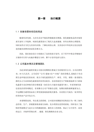 绿色蔬菜公司创业商业计划书.docx