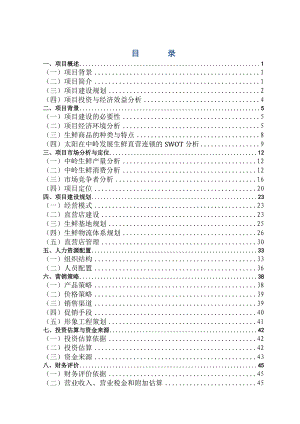 太阳生鲜连锁项目商业计划书（DOC74页）.docx