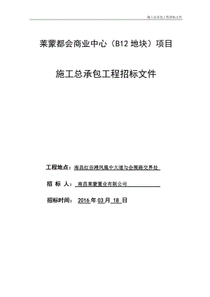 莱蒙都会商业中心(B12地块)项目施工总承包招标文件.docx