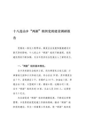 某乡两新组织党的建设调研报告.docx