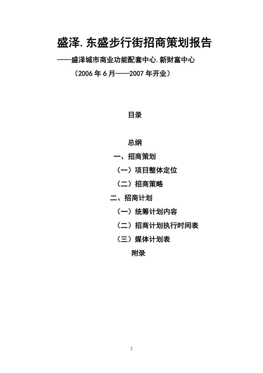 东盛步行街招商计划书.docx_第2页