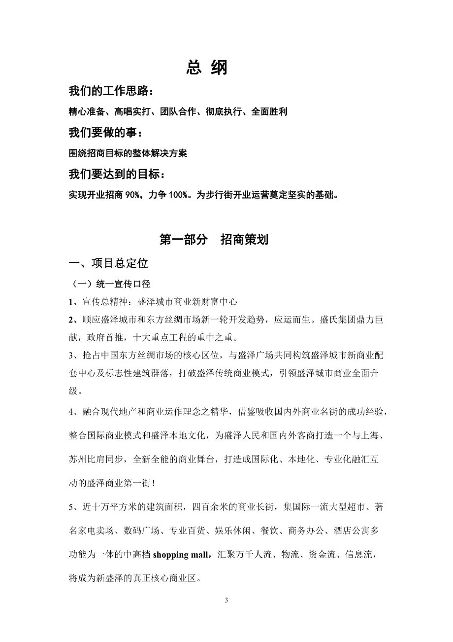 东盛步行街招商计划书.docx_第3页