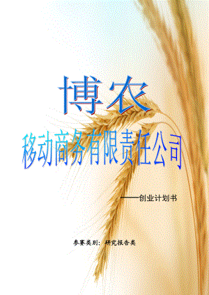 博农移动商务有限责任公司--创业计划书.docx