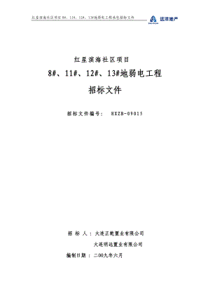 红星滨海社区项目某地块智能化系统工程招标文件.docx