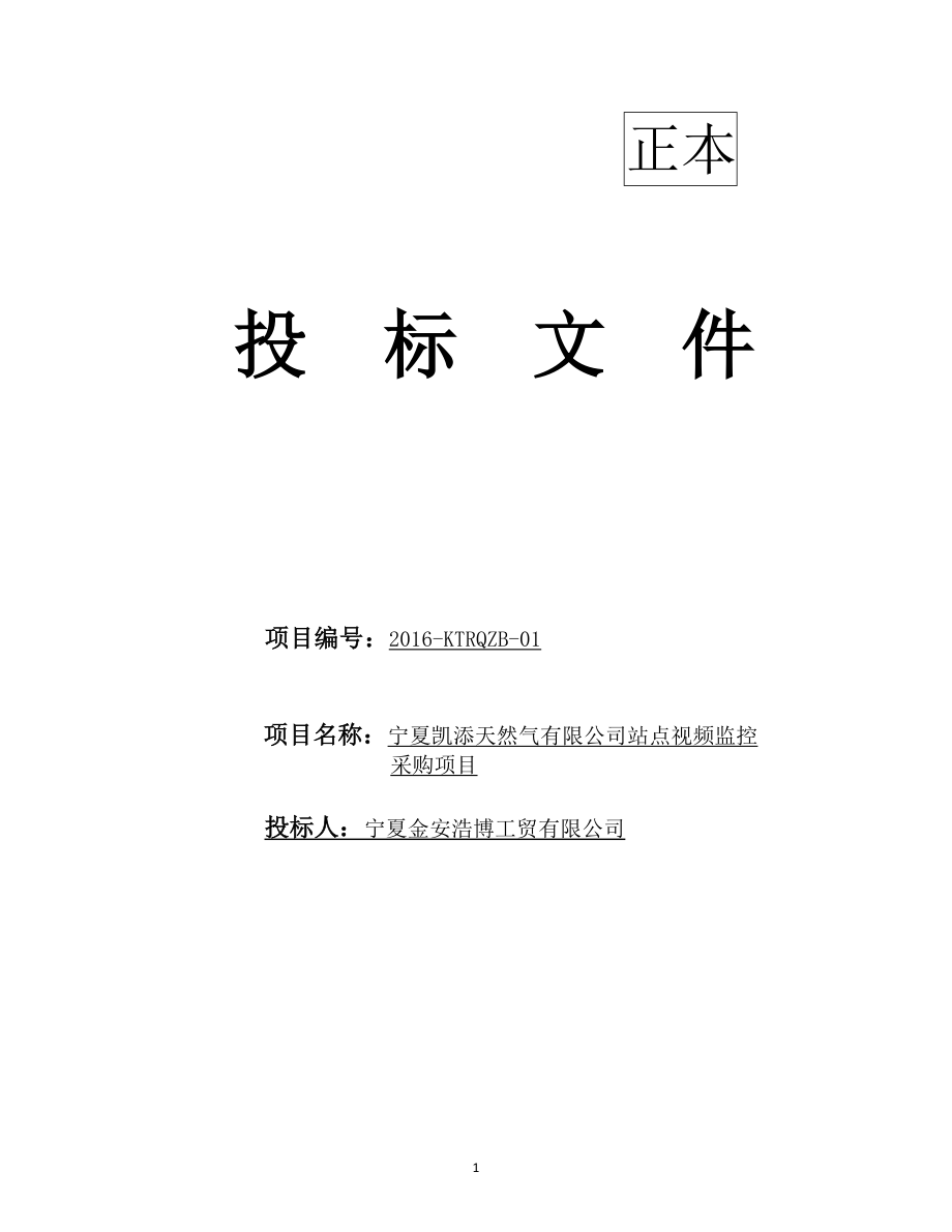 某天然气公司站点视频监控采购项目招标文件.docx_第1页